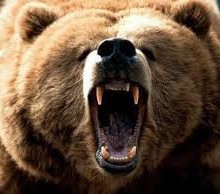 Hear mama bear roar!